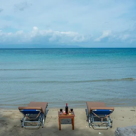 Zante Mare فيلة *